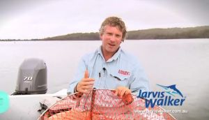 Pic: Mick Fletoridis